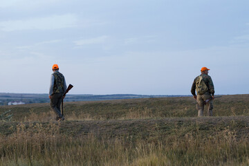 Pheasant hunters with shotgun walking through a meadow.