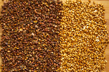 Obraz premium Cedar nut kernels, cedar nut shells. Cedar nut on wooden background.