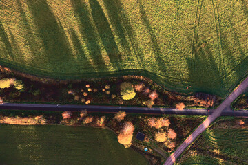 Sunset colors on an aerial photo on a field and trees.