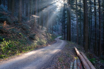 road in the forest with fog and sunrays - 386435096
