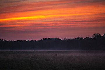 Belarus north trip