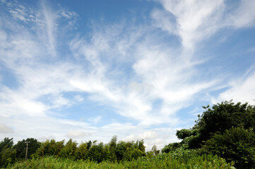 草原と青空と雲