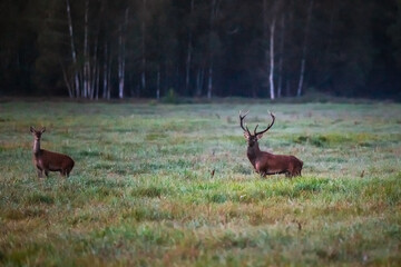 Belarus north trip