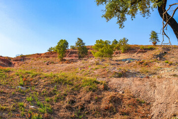 View on the trees in the countryside of South France