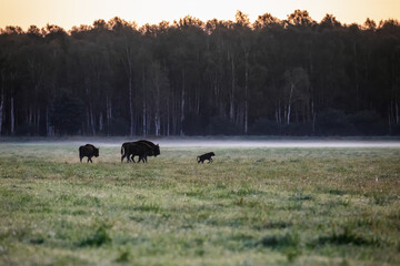 Belarus north trip