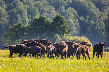 Belarus north trip