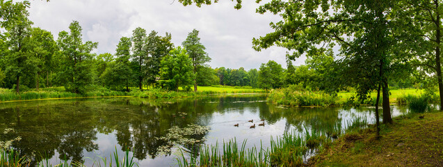 Lake with ducks in the summer park Alexandria.