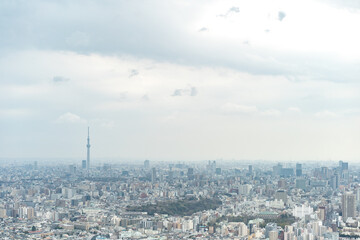 Tokyo, Japan - Mar 28, 2019:Asia business concept for real estate and corporate construction - panoramic modern city skyline aerial view of Ikebukuro in tokyo, Japan