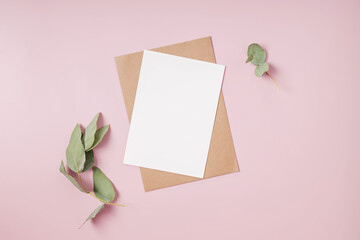Blank paper and eucalyptus branch on pink background.