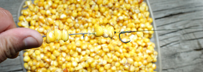 boiled carp for big fish and tackle