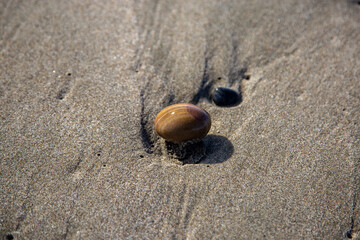 small colorful stone on the beach