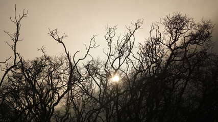 Mount Ijen Volcano in a misty cloud setting on the Java Island of Indonesia.
