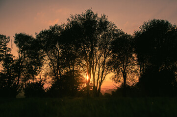 sunset in the woods