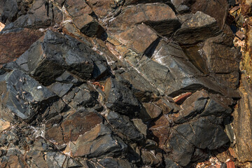 Closeup of wet rock surface near the Indian ocean