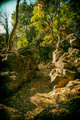 A path in a park in autumn between rock formations. The colors of sunny autumn. Fallen leaves and colorful trees