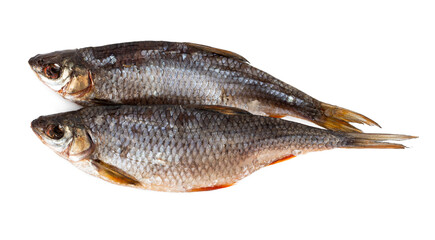 Two dried roaches isolated on white background.