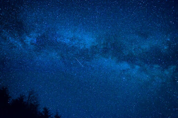 Forest and pine trees landscape under blue dark night sky with many stars, milky way cosmos...