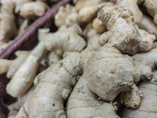 Group of Jerusalem artichokes or topinambour sold on a market