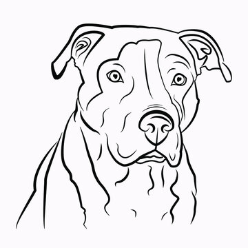 Simple vector image of an American pit bull Terrier. Vector isolated illustration in black color on white background. Image for design and tattoo.
