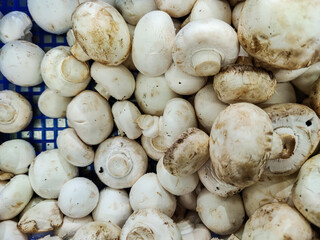 Variety of mushrooms for sale at farmers market