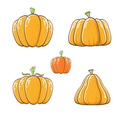vector graphic orange pumpkins set isolated on white background. Cartoon hand drawn pumpkins collection for autumn ,Halloween and Thanksgiving day poster and banner design