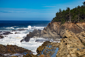 Fototapeta na wymiar rocky coastline with waves and trees