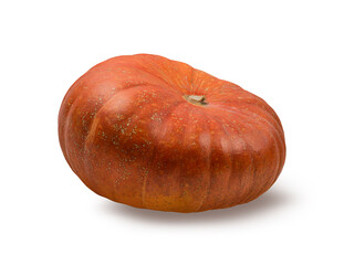 Pumpkin isolated on white background with clipping path