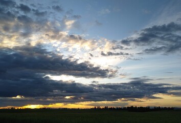 Obraz na płótnie Canvas sunset over the field