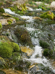 A stream running over mossy rocks.