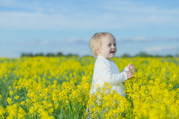 Fototapeta premium girl in a field of yellow flowers