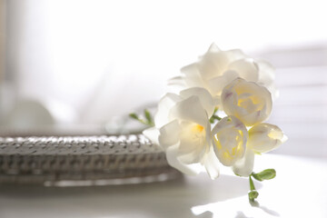 Beautiful freesia flowers on white table indoors, closeup