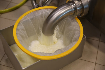 Draining whey from tank into sieve at cheese factory