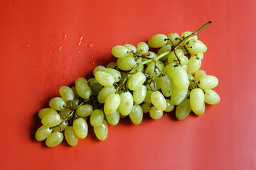 fresh wet green bunch of grapes on the red surface as background. Vegetarian sweet and delicious food.
