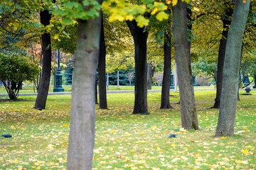 autumn park in the alexander garden, moscow