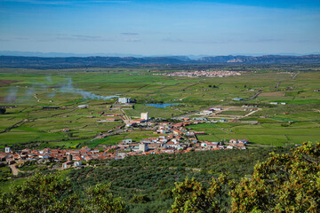 Landscape of green fields with trees and small town