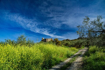 Landscape with flowering vegetation and castle on hill with blue sky