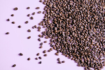 Roasted and aromatic Coffee beans on magenta colored surface as background. Top view with and copy space for text. Macro photo of fresh arabica coffee beens.