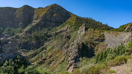 Paisaje de montañas verdes