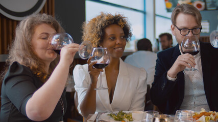 Diverse business partners clinking glasses celebrating agreement in restaurant