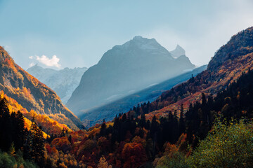 Fototapeta na wymiar Rocky mountains and autumnal forest. High mountain landscape and sun light