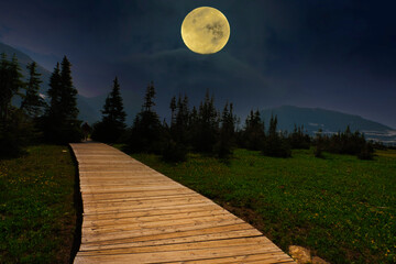 explore places and paths till your heart is full
