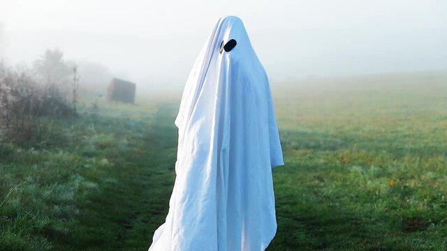 halloween ghost on a foggy field