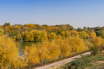 Fototapeta premium Autumn landscape. Lake in the park in autumn. Reflections in the water. Autumn trees and plants. Lake. Gold autumn. Yellow, orange, red, brown, green leaves. Blue sky