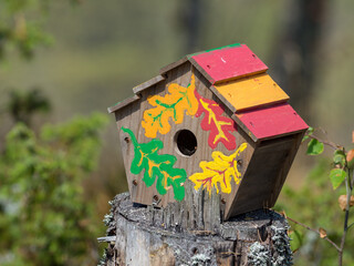 Colorful birdhouse on a tree stump
