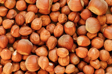 Macro shot of many peeled Hazelnuts mixed with nuts in nutshell. Concept of autumn harvesting. Natural and organic food full of vitamins. Seasonal vegetarian nutrition.