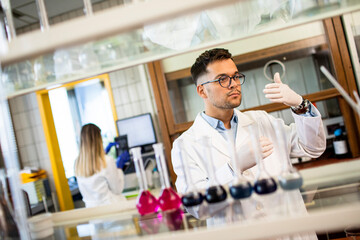 Young researcher checking test tubes