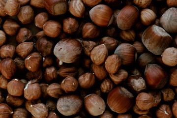 Macro shot of Hazelnuts in nutshell on. Concept of autumn harvesting. Natural and organic food full of vitamins. Seasonal vegetarian nutrition. Low Brightness image