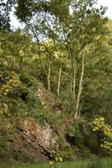 Orvault - Ville verte - La vallée du Cens	