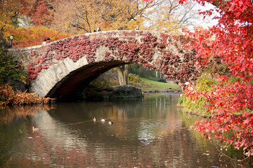 Stone bridge in central park covered in red leafs in the automn 