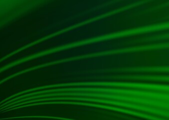 Light Green vector bokeh and colorful pattern.